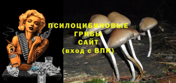 гидропоника Алексин