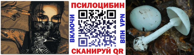 Псилоцибиновые грибы прущие грибы  даркнет сайт  Инсар 